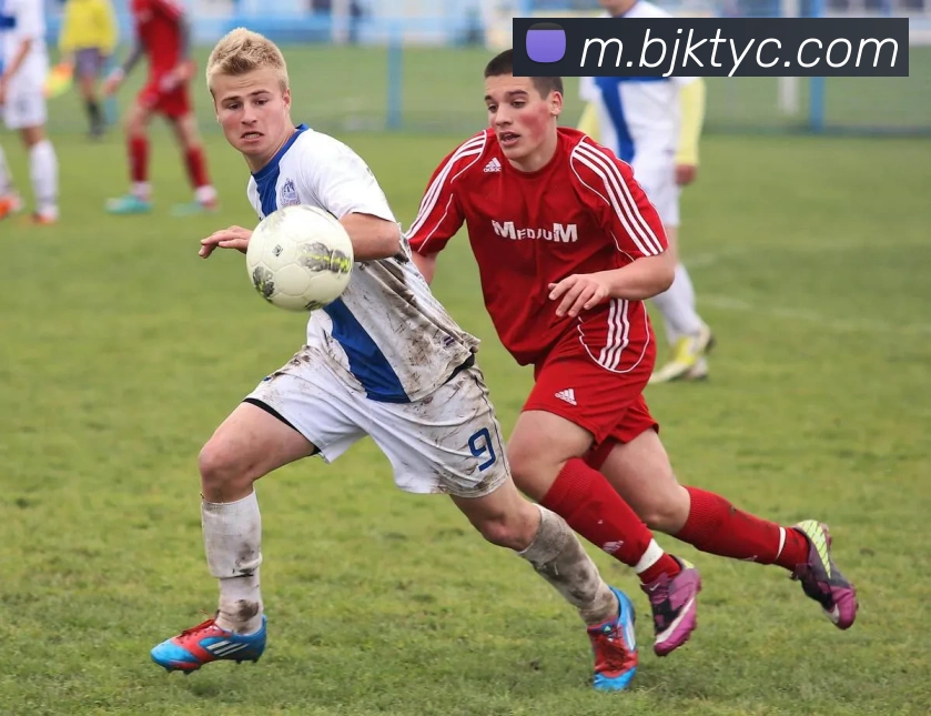 太阳城网站APP 体育赛事宣传图